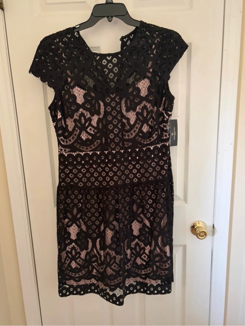 Black Lace Overlay Sheath Dress - blush Lining